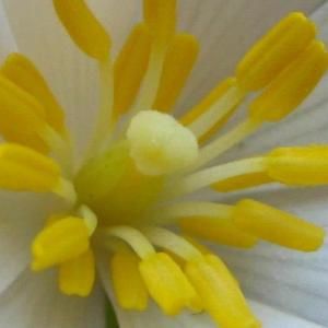 Meet your Posher, Lynne